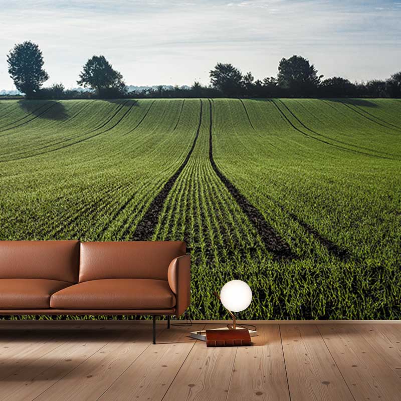 Customized Green Wheat Ears Mural Stain Resistant Wall Art for Dining Room