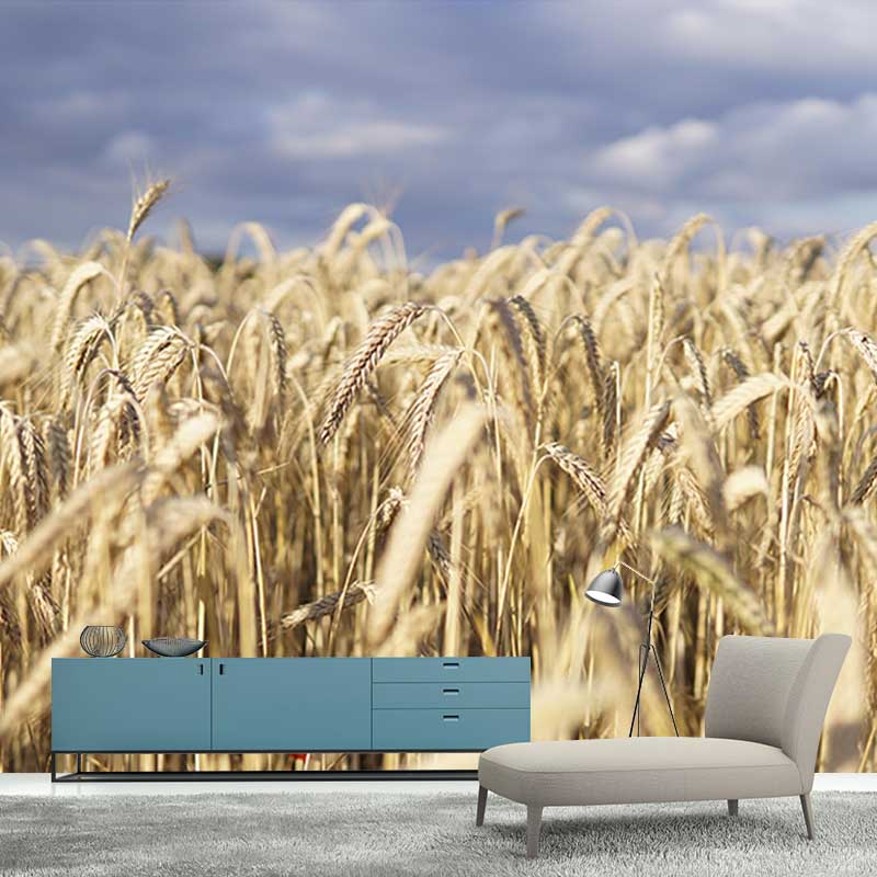 Wheat Field Mural Stain Resistant with Plump Ears of Wheat Pattern Wall Art for Dining Room