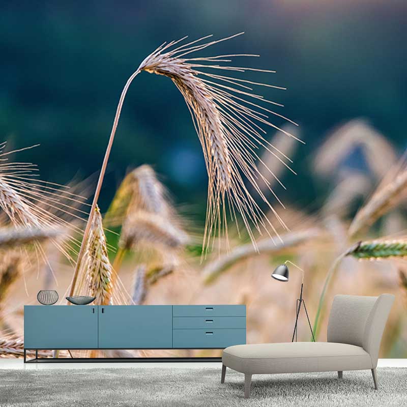 Wheat Field Mural Stain Resistant with Plump Ears of Wheat Pattern Wall Art for Dining Room