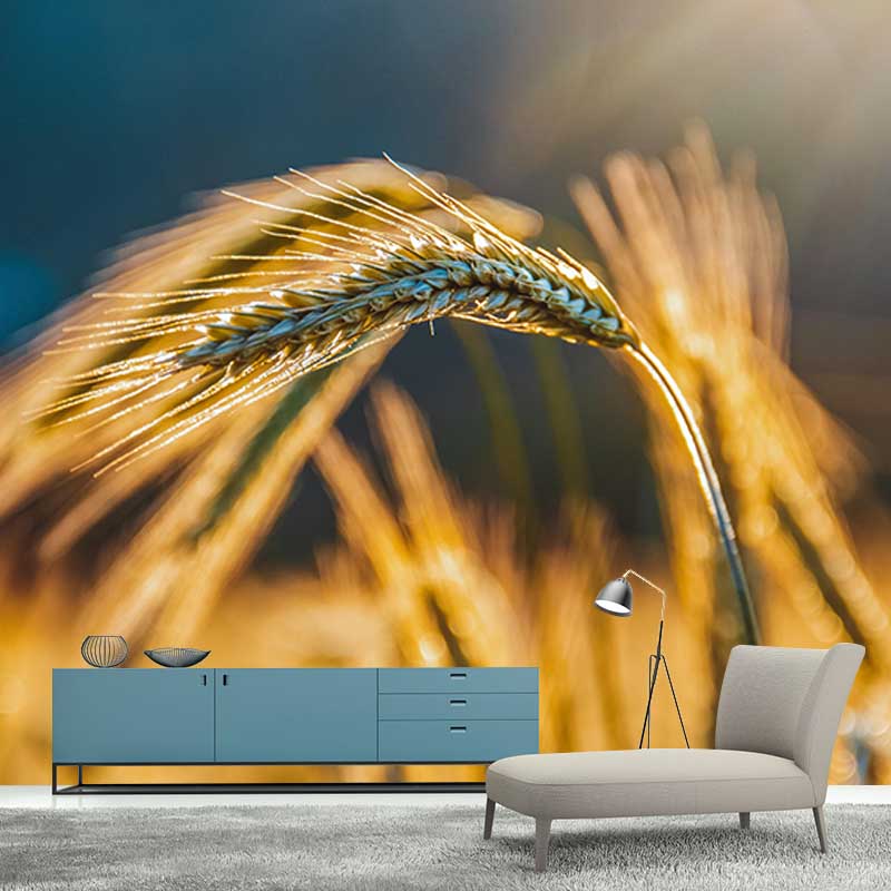 Wheat Field Mural Stain Resistant with Plump Ears of Wheat Pattern Wall Art for Dining Room