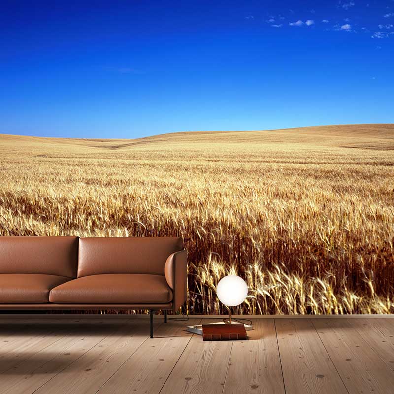Contemporary Wheat Field Mural Bright Color Stain Resistant Wall Art for Dining Room