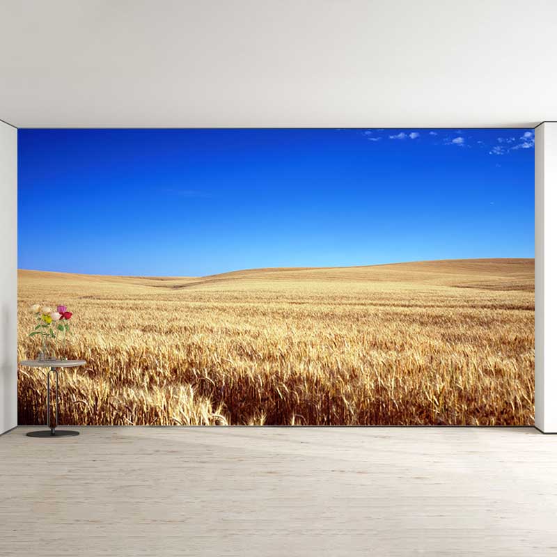 Contemporary Wheat Field Mural Bright Color Stain Resistant Wall Art for Dining Room