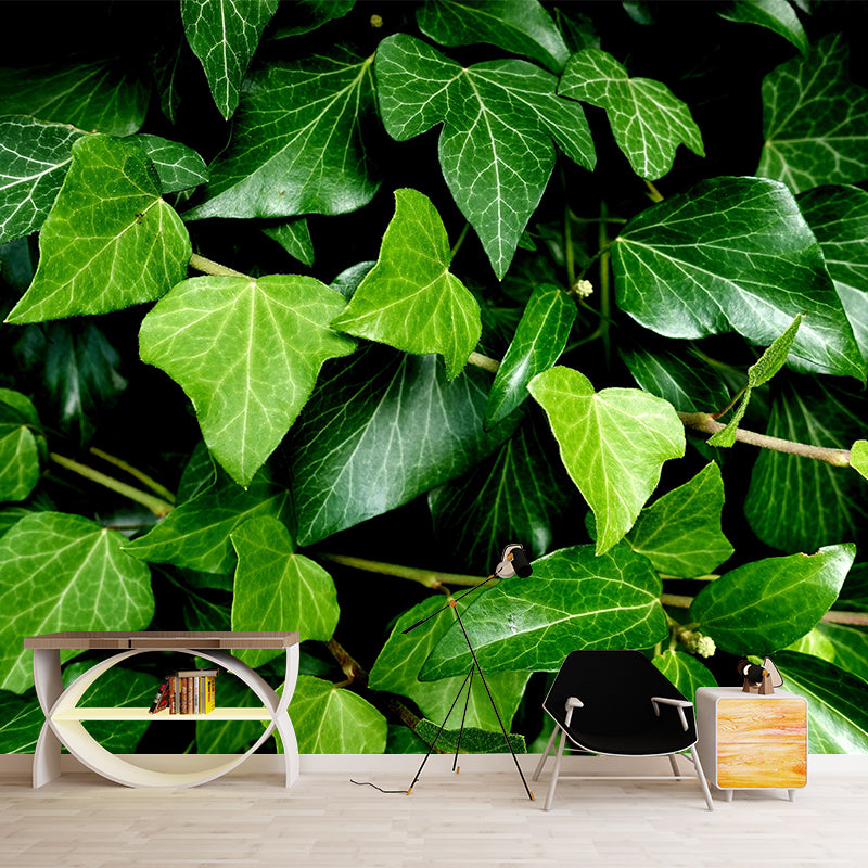 Ivy Leaf Wall Murals Contemporary Style Moisture Resistant Wall Covering