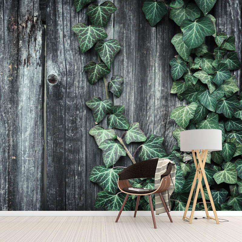 Ivy Leaf Wall Murals Contemporary Style Moisture Resistant Wall Covering