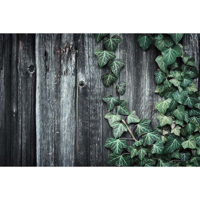 Ivy Leaf Wall Murals Contemporary Style Moisture Resistant Wall Covering
