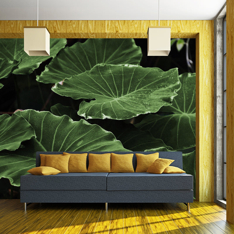 Lotus Leaf Wall Murals Contemporary Style Moisture Resistant Wall Covering