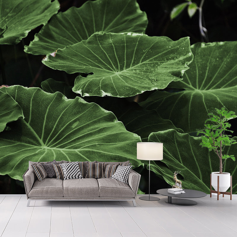 Lotus Leaf Wall Murals Contemporary Style Moisture Resistant Wall Covering
