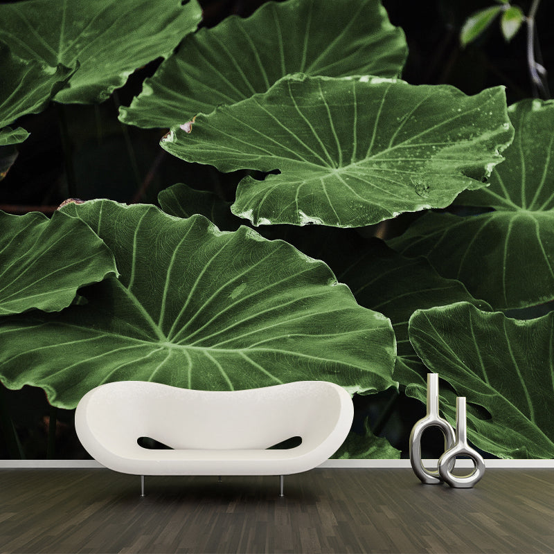 Lotus Leaf Wall Murals Contemporary Style Moisture Resistant Wall Covering
