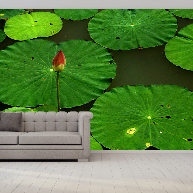 Lotus Leaf Wall Murals Contemporary Style Moisture Resistant Wall Covering