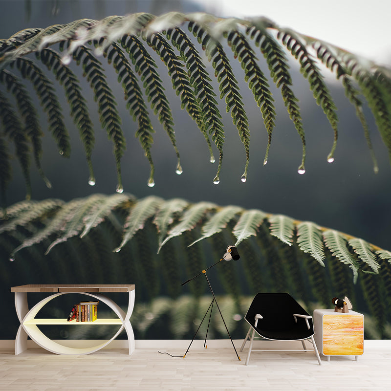 Ferns Plant Mural Wallpaper Mildew Resistant for Reading Room Bedroom Home Decor