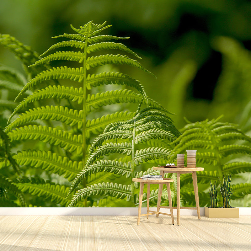 Ferns Plant Mural Wallpaper Mildew Resistant for Reading Room Bedroom Home Decor