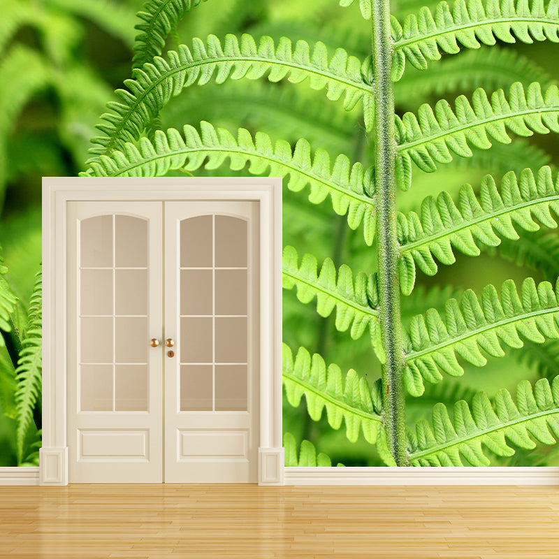 Ferns Plant Mural Wallpaper Mildew Resistant for Reading Room Bedroom Home Decor