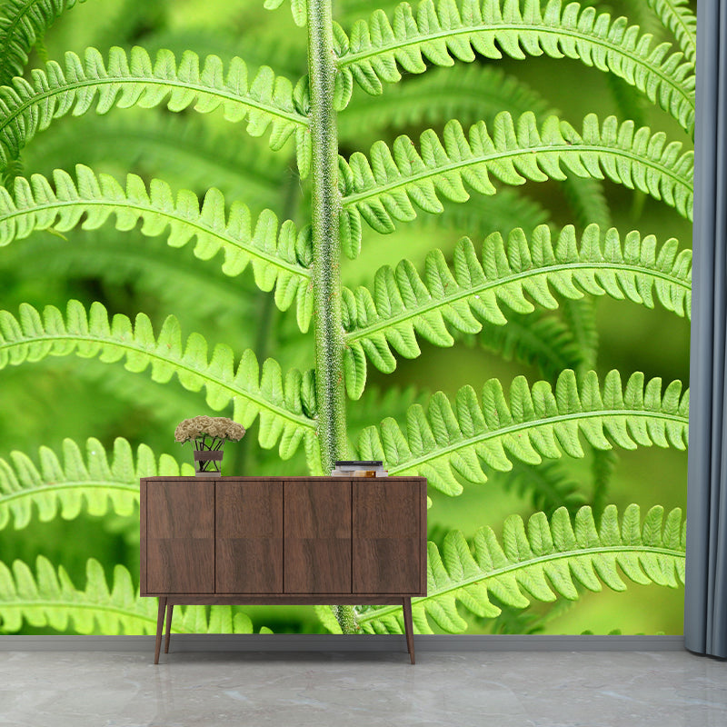 Ferns Plant Mural Wallpaper Mildew Resistant for Reading Room Bedroom Home Decor
