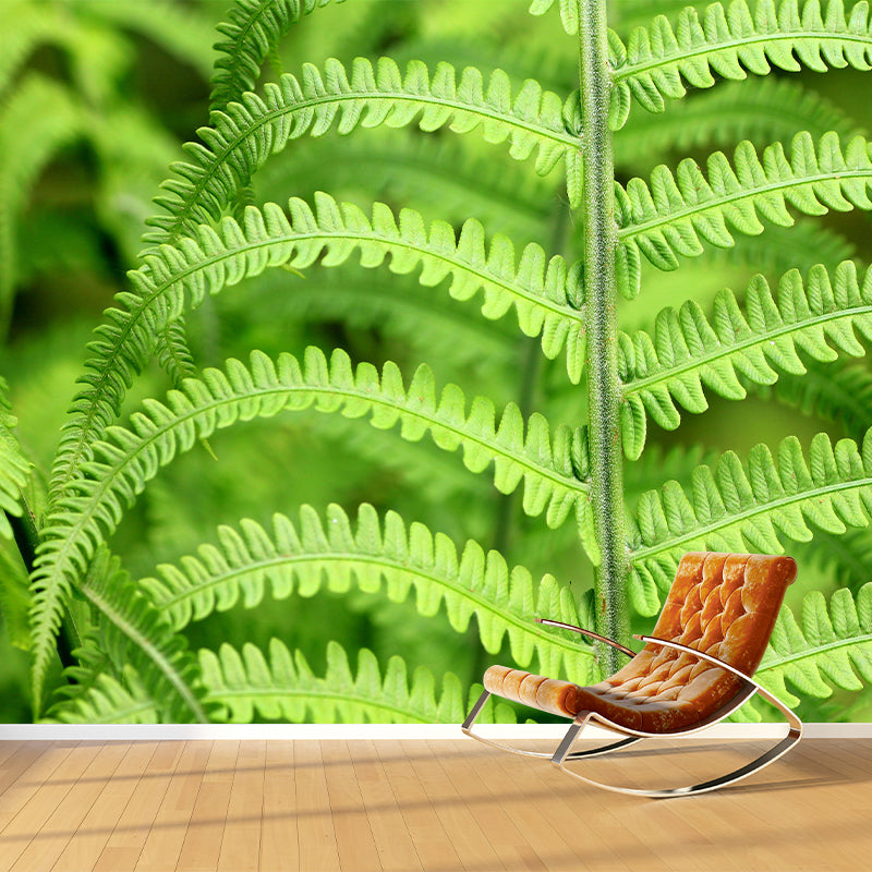 Ferns Plant Mural Wallpaper Mildew Resistant for Reading Room Bedroom Home Decor