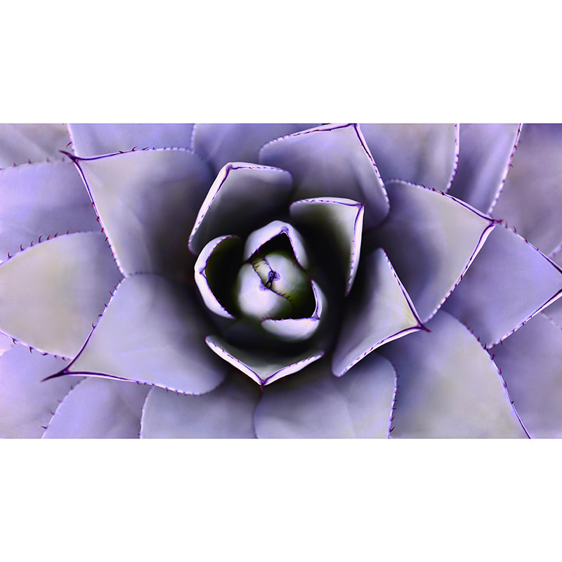 Aloe Green Plant Wall Mural Environment Friendly for Study Room Home Decor