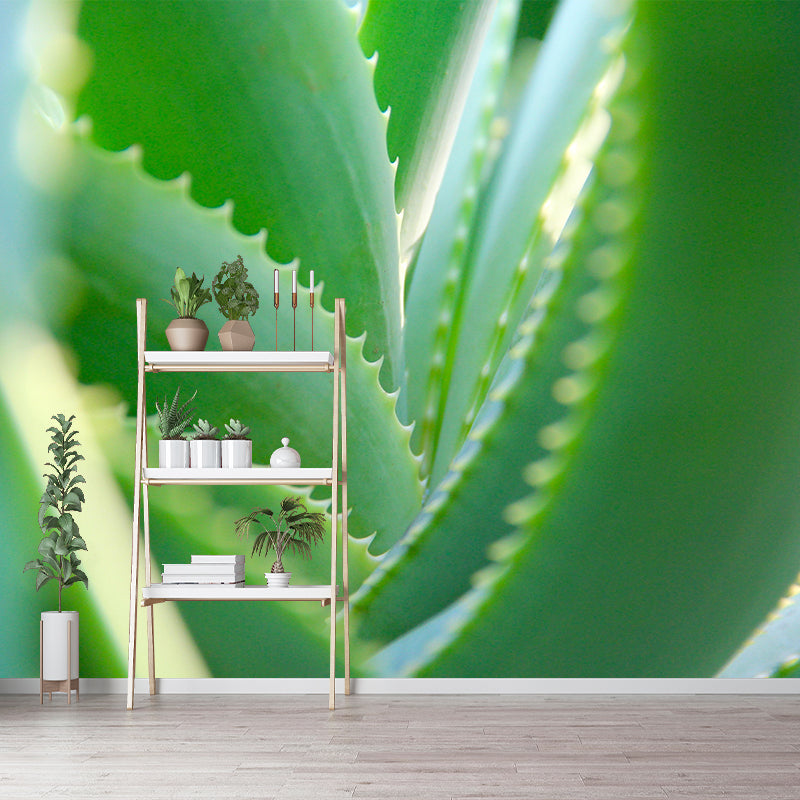 Aloe Green Plant Wall Mural Environment Friendly for Study Room Home Decor
