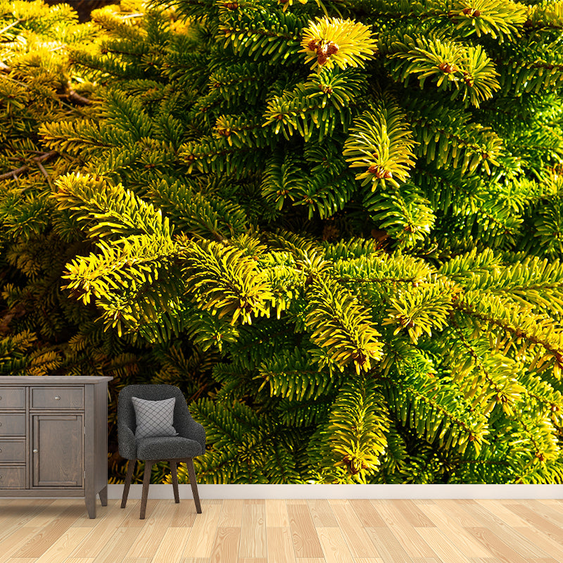 Photography Plant Mural Wallpaper Pine Leaves for Reading Room Bedroom Home Decor