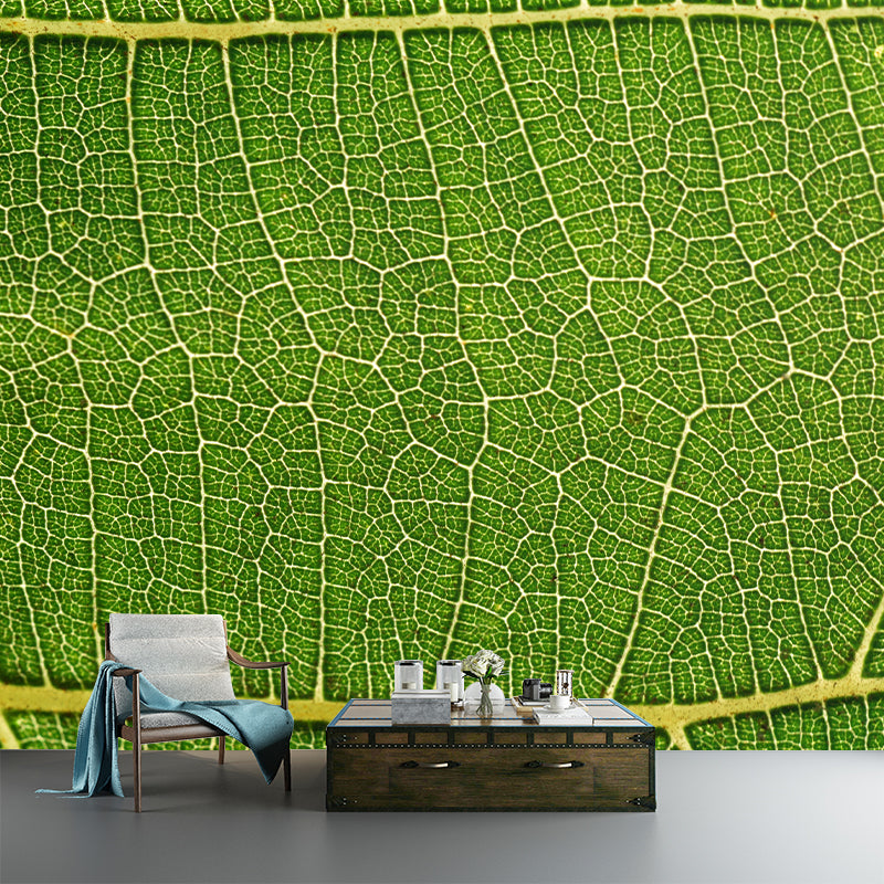 Plant Mural Wallpaper Leaf Surface Pattern for Reading Room Bedroom Wall Decor