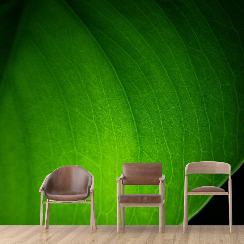Customized Leaf Surface Plant Murals Wall for Reading Room Moisture Resistant