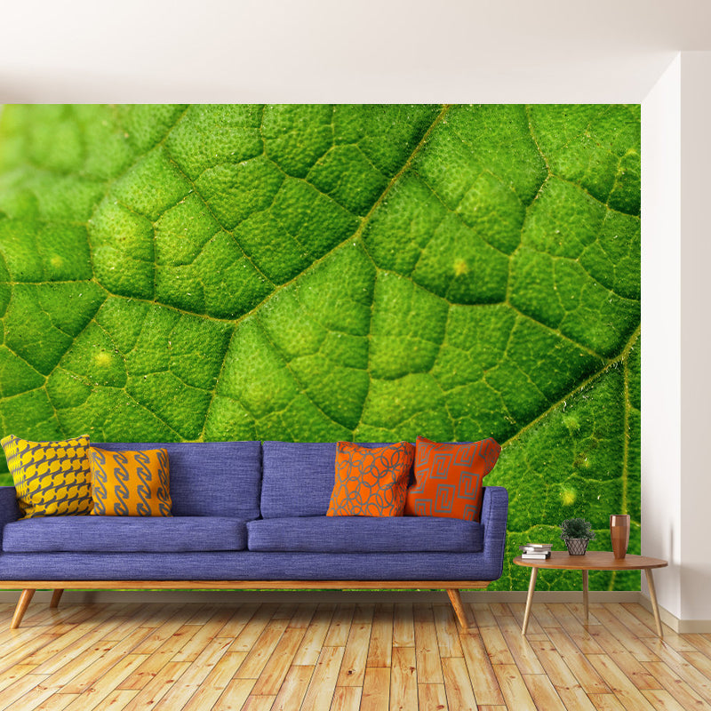 Customized Leaf Surface Plant Murals Wall for Reading Room Moisture Resistant