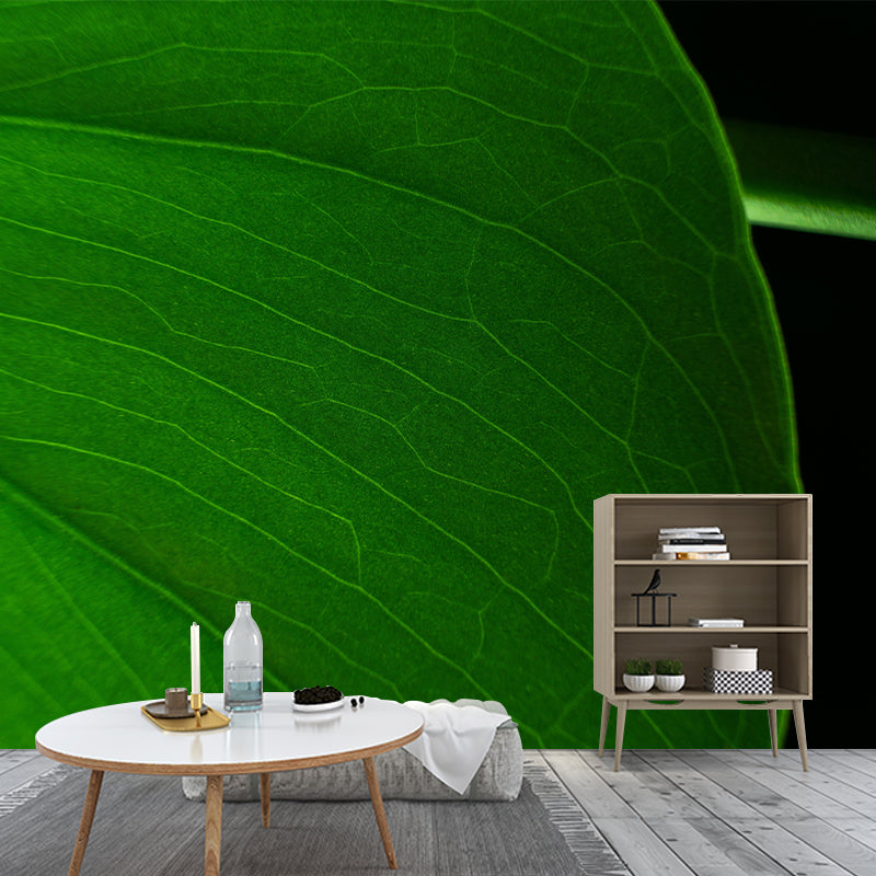 Plant Mural Wallpaper Leaf Surface Pattern for Reading Room Bedroom Decor