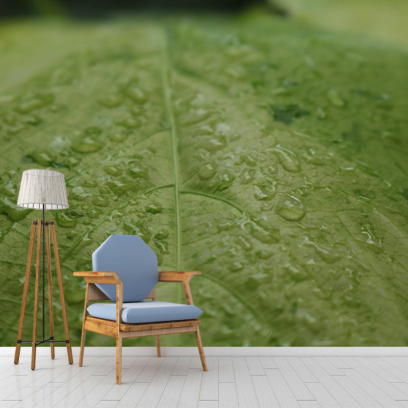 Plant Mural Wallpaper Leaf Surface Pattern for Reading Room Bedroom Decor