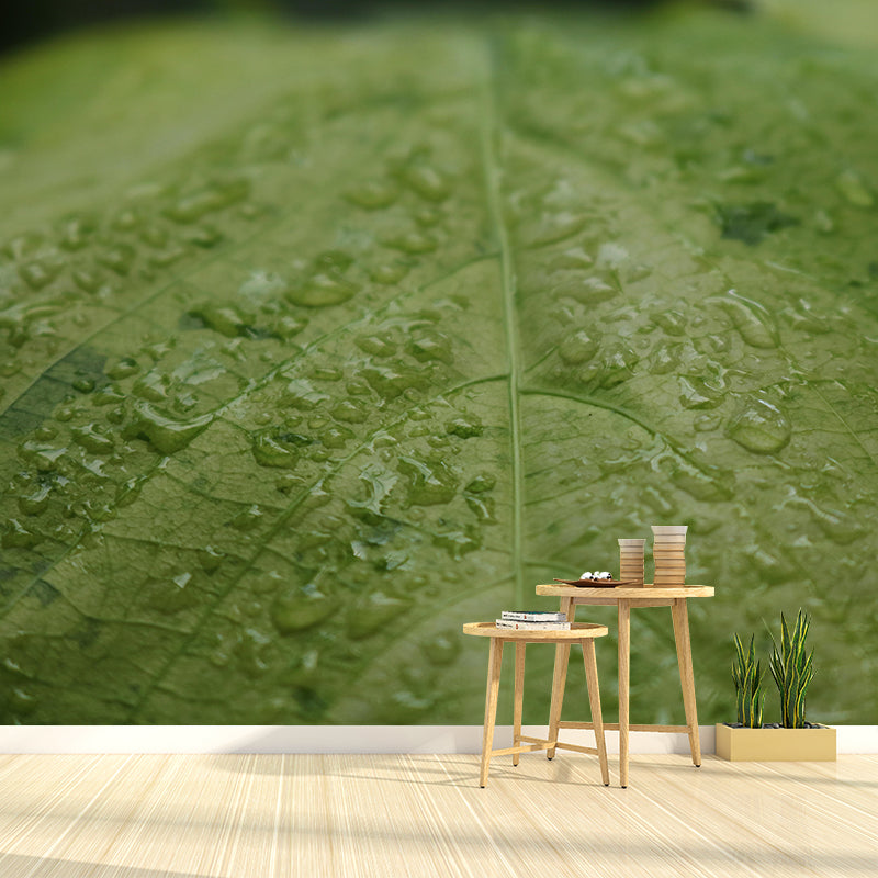 Plant Mural Wallpaper Leaf Surface Pattern for Reading Room Bedroom Decor