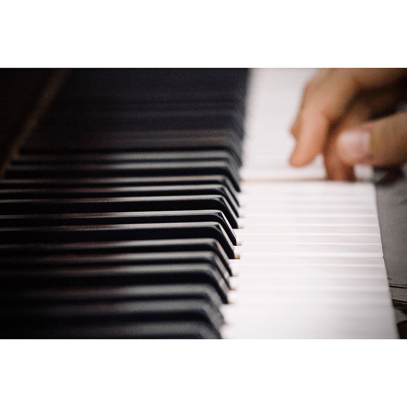 Customized Contemporary Piano Mural Mildew Resistant for Sitting Room Bedroom