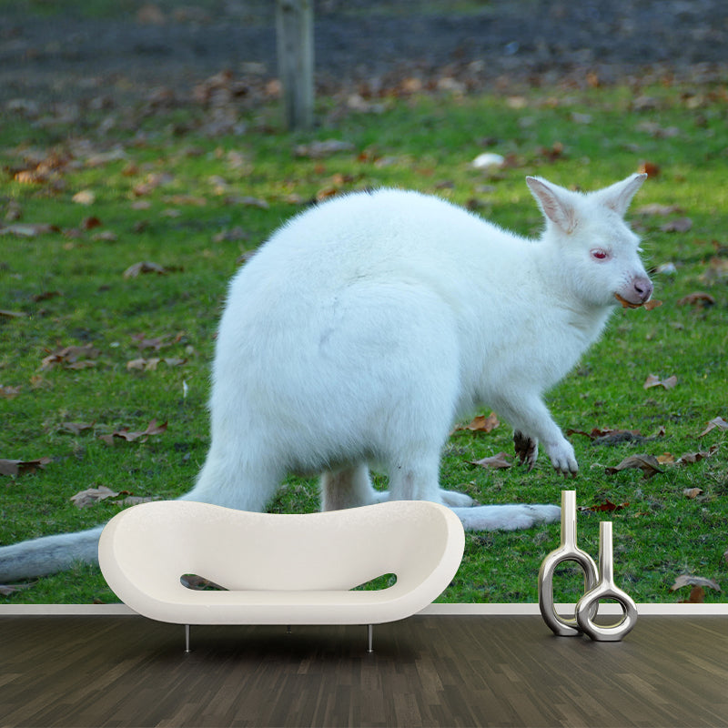 Kangaroo Contemporary Mural Decal Sitting Room Moisture Resistant Wall Decor