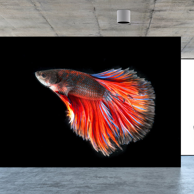 Fighting Fish Contemporary Mural Decal Sitting Room Moisture Resistant Wall Decor