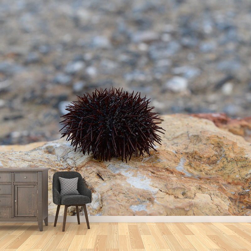 Sea Urchin Contemporary Mural Decal Sitting Room Moisture Resistant Wall Decor