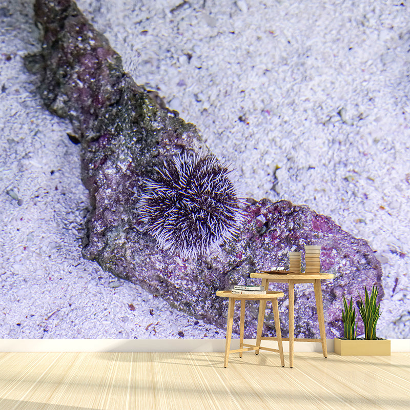Sea Urchin Contemporary Mural Decal Sitting Room Moisture Resistant Wall Decor