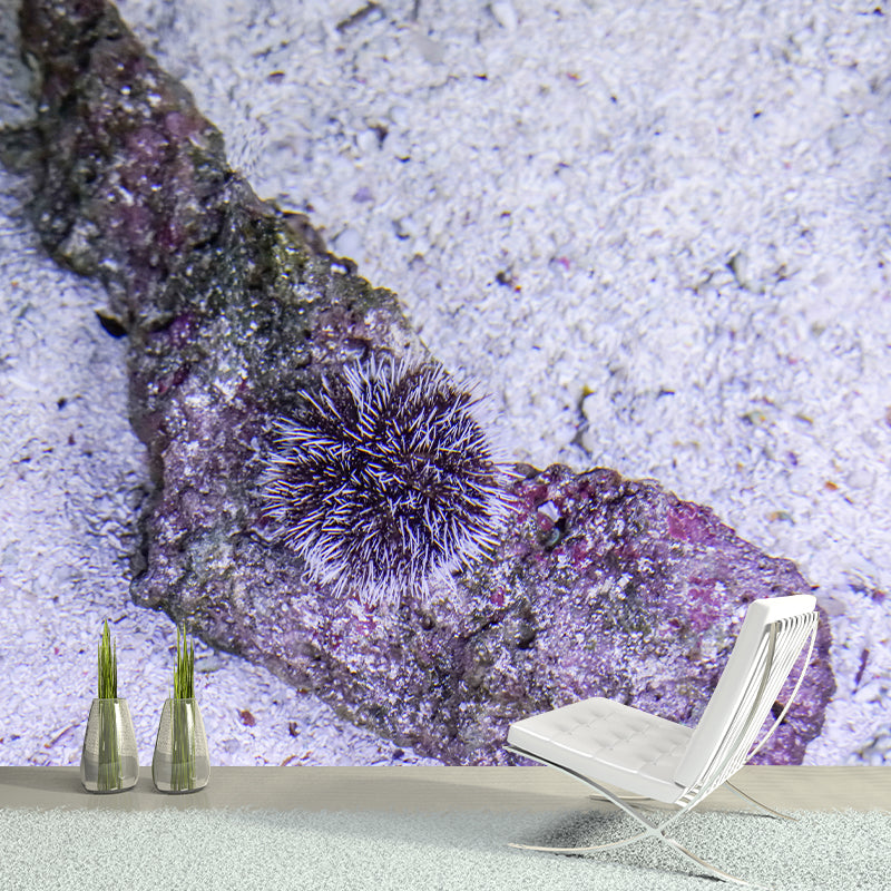 Sea Urchin Contemporary Mural Decal Sitting Room Moisture Resistant Wall Decor