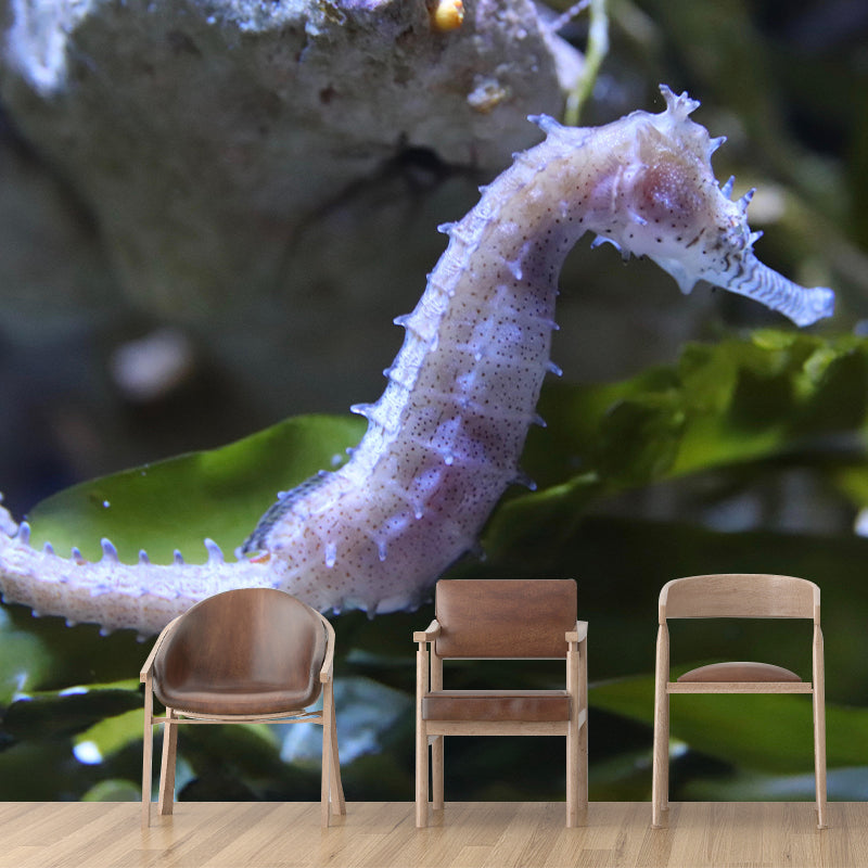 Customized Contemporary Hippocampus Mural Mildew Resistant for Sitting Room Bedroom