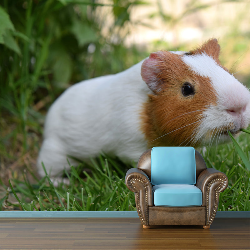 Customized Contemporary Guinea-Pig Mural Mildew Resistant for Sitting Room Bedroom