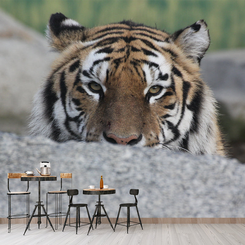 Contemporary Tiger Face Close-up Mural Decal Sitting Room Moisture Resistant Wall Decor