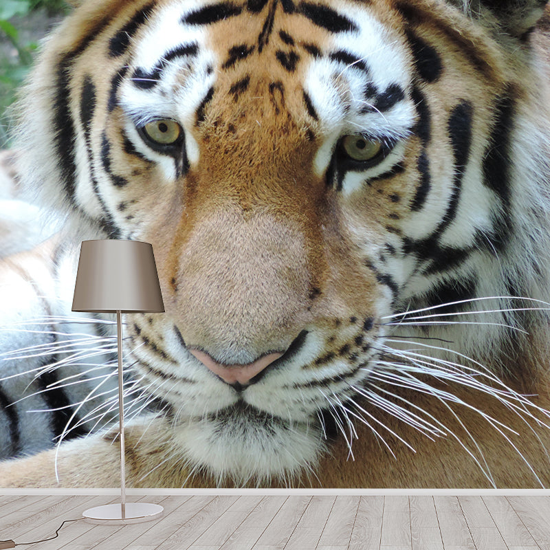 Contemporary Tiger Face Close-up Mural Decal Sitting Room Moisture Resistant Wall Decor