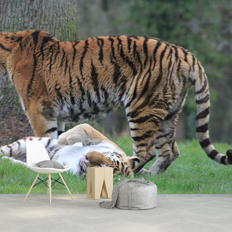 Tiger Contemporary Mural Decal Sitting Room Moisture Resistant Wall Decor