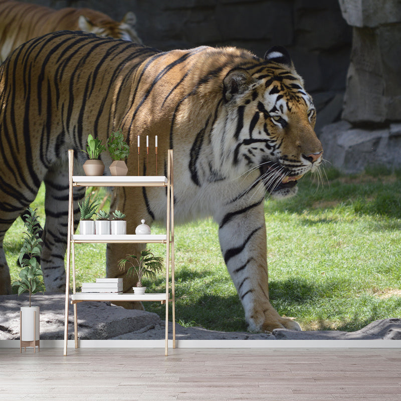 Tiger Contemporary Mural Decal Sitting Room Moisture Resistant Wall Decor