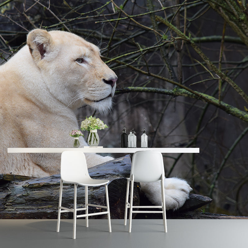 Customized Contemporary Lioness Mural Mildew Resistant for Sitting Room Bedroom
