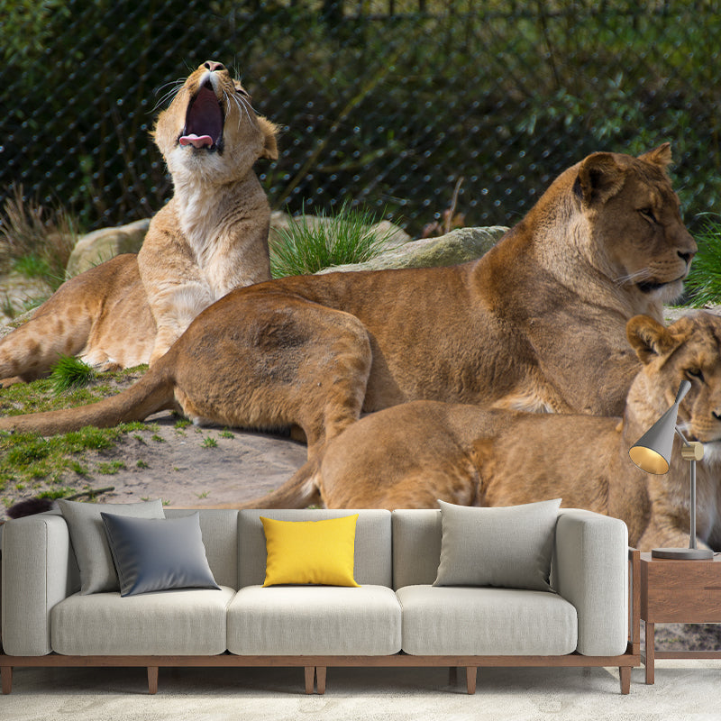 Customized Contemporary Lioness Mural Mildew Resistant for Sitting Room Bedroom
