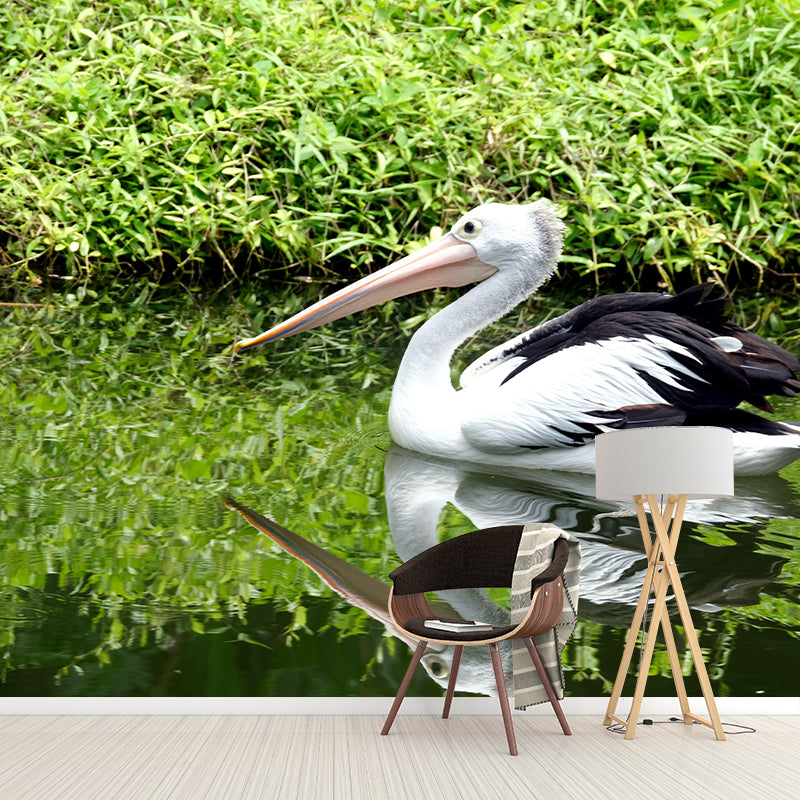 Customized Contemporary Pelican Mural Mildew Resistant for Sitting Room Bedroom