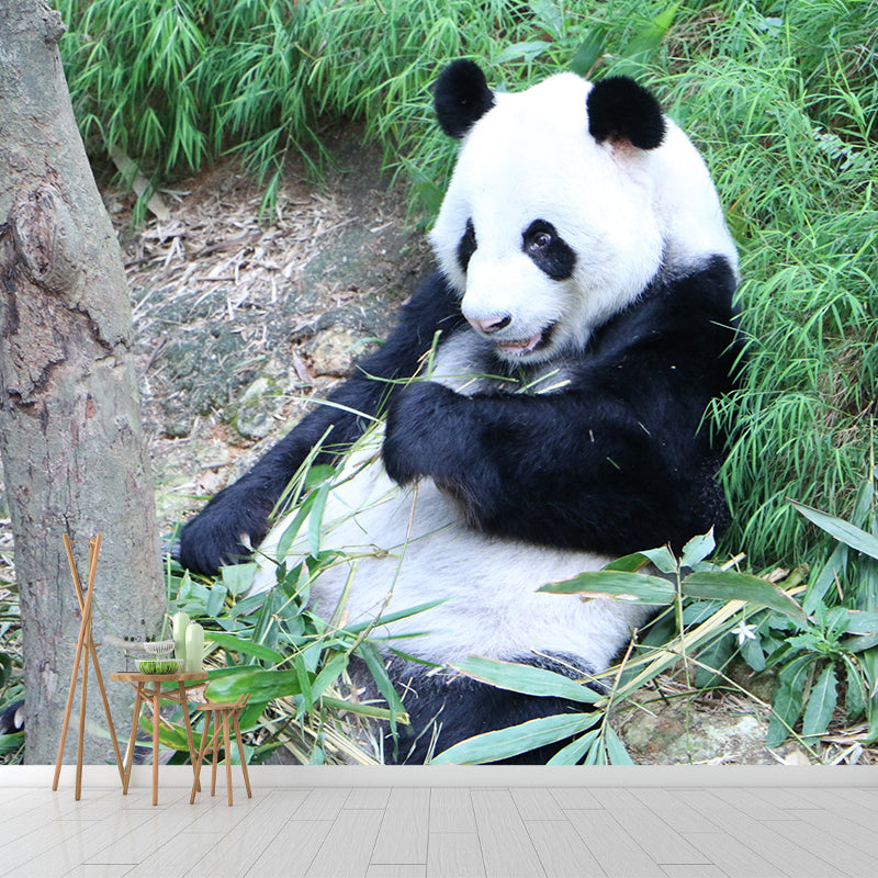 Panda Contemporary Mural Decal Sitting Room Moisture Resistant Wall Decor
