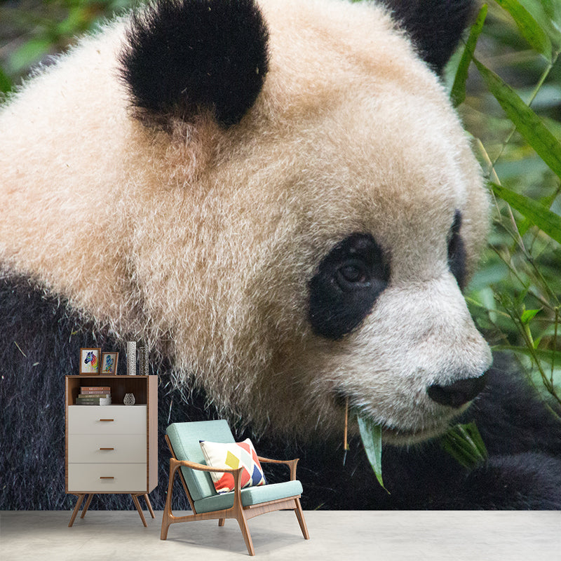 Panda Contemporary Mural Decal Sitting Room Moisture Resistant Wall Decor