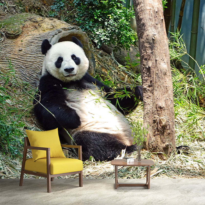 Panda Contemporary Mural Decal Sitting Room Moisture Resistant Wall Decor