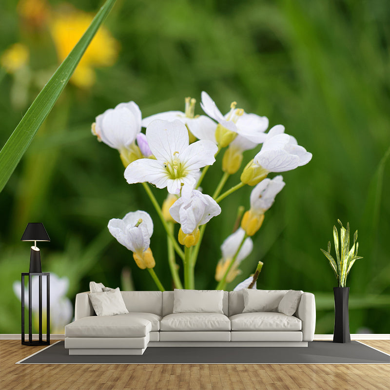 Customized Contemporary Scumwort Mural Mildew Resistant for Sitting Room Bedroom