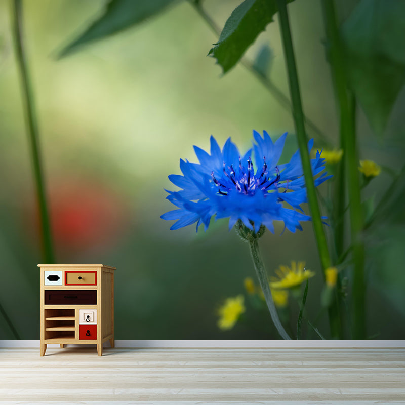 Customized Contemporary Cornflower Mural Mildew Resistant for Sitting Room Bedroom