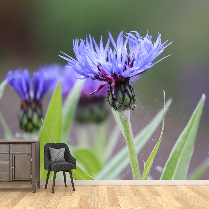Customized Contemporary Cornflower Mural Mildew Resistant for Sitting Room Bedroom