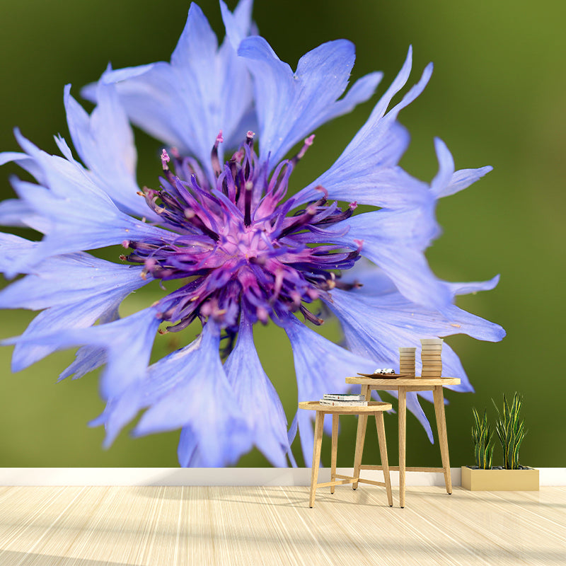 Customized Contemporary Cornflower Mural Mildew Resistant for Sitting Room Bedroom
