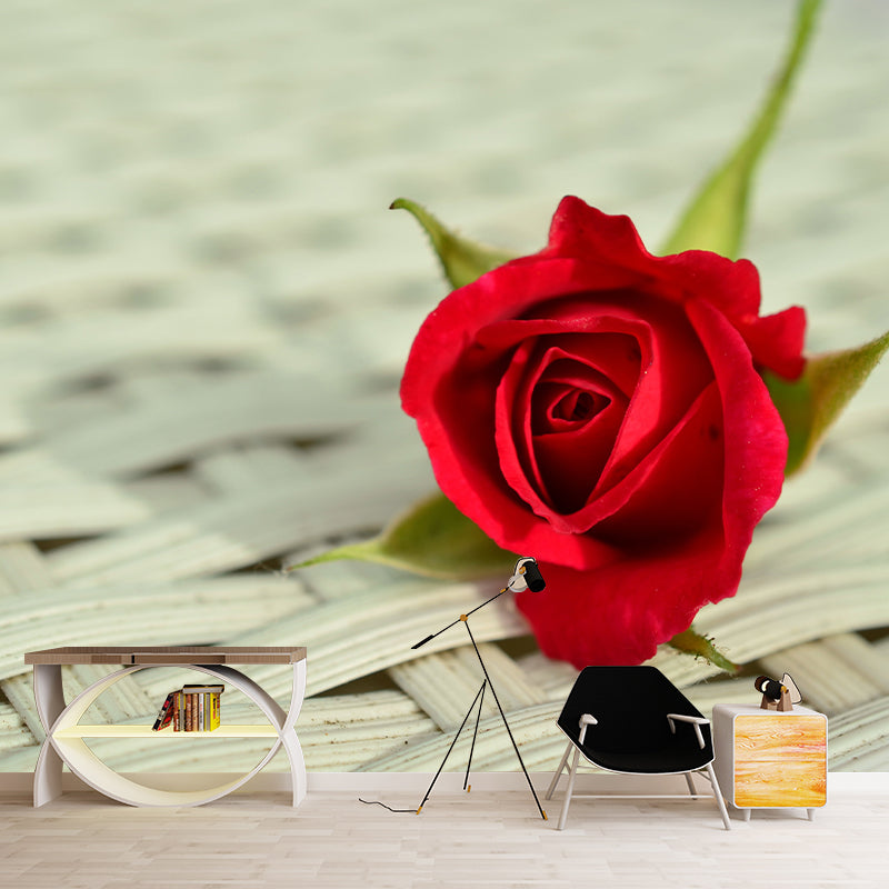 Rose Contemporary Mural Decal Sitting Room Moisture Resistant Wall Decor